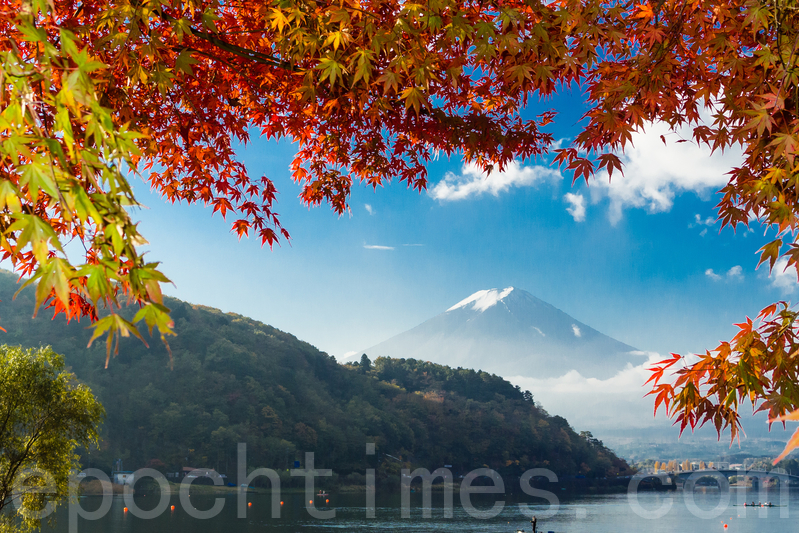 組圖 又到日本紅葉繽紛的季節 京都 富士山 大紀元