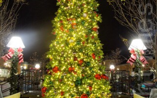 布碌崙Gateway中心圣诞树点灯