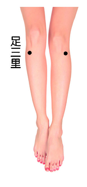 足三里位於小腿上，當腿彎曲時，可以看到在膝關節外側有一塊高出皮膚的小骨頭，這就是外膝眼，從外膝眼直下四橫指處便是足三里。（fotolia）