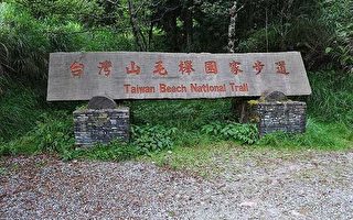 宜兰大同．太平山－台湾山毛榉步道(初探)