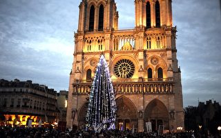 俄国送巴黎圣母院圣诞树 引争议