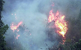 阿里山火燒山  蔓延5公頃