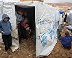 資金匱乏 敘利亞難民糧食援助被迫中止