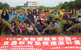 学童食农教育与种稻体验