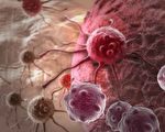 癌細胞是怎麼擴散的，一般會擴散到什麼地方？