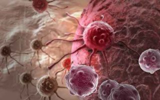讓免疫系統識別癌細胞 有望治療癌症