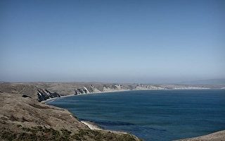 觀加州德雷克斯灣國家海岸鯨魚海豹
