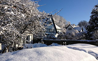 组图：布鲁塞尔雪景 2014入冬第一场雪