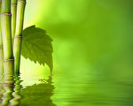 洗手池裡的灰