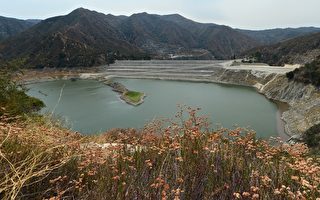 加州11月用水銳減近10%