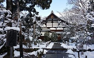 高天韵：京都的雪