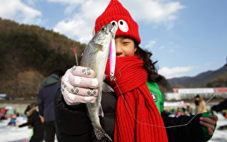 組圖：韓國華川郡 體驗冰上釣魚樂