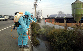雲林染H5N2  國軍化學兵助消毒