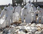 確診新型流感補助 雲林呼籲中央全額負擔