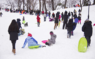 組圖：大雪過後 紐約孩子們的冰雪世界