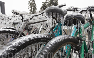 由於低溫凍雨，街頭的自行車上也出現了冰掛景觀。（艾文/大紀元）