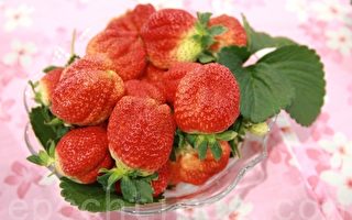 全国“美莓”PK赛 5日大湖登场