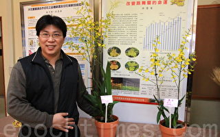蘭花生產技術改善  增進花農收益