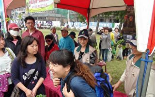“植树造林  呵护台湾”嘉市植树月活动