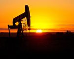 沙特7月每日再減產100萬桶 油價上升2%