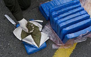 史上第二大量 美边境缉获15吨大麻