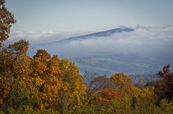 圖為維吉尼亞州（Virginia）的雪蘭多國家公園（Shenandoah National Park）。（MLADEN ANTONOV/AFP/Getty Images）