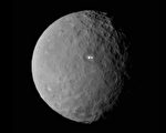 美國航空航天局（NASA）噴氣推進實驗室（JPL）宣布，黎明號（Dawn）飛船將於3月6日到達穀神（Ceres）矮行星。(美國宇航局提供)