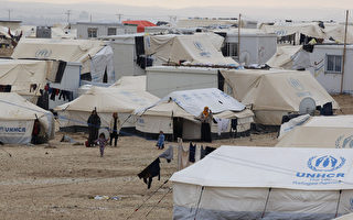 人权组织：联合国援叙利亚难民方案失败