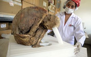 秘魯出土幾十具千年木乃伊 包括1具嬰兒