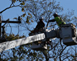 电源安装与维修技工（Electrical Power-Line Installers and Repairers）的时薪中位数为30.85美元。（Bruce Bennett/Getty Images）