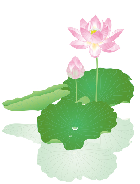 (Fotolia) (Fotolia)
