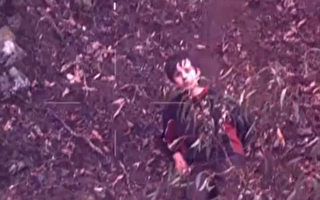 森林走失4天 澳洲自闭男童奇迹获救