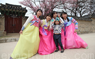 組圖：首爾故宮春暖花開迎遊客