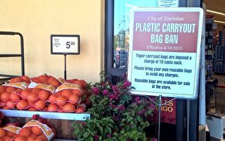 加州圣地亚哥县第二个城市禁用塑料袋