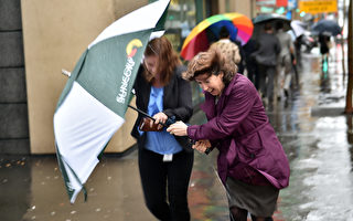 雪梨狂風暴雨 數千戶停電學校停課
