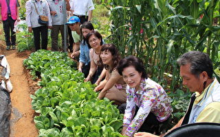 嘉義「長竹市民農園」正式開園了