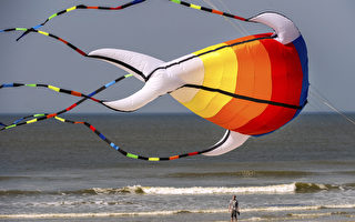 组图：法贝尔克风筝节 巨型风筝空中飞舞