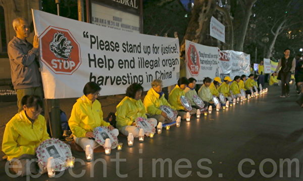 穿黄色衣服的法轮功学员手中捧着被迫害致死的法轮功学员的相片，静静地坐在悉尼市中心的乔治街，每个人前面的地上放着一盏点亮的烛灯。（摄影何蔚/大纪元）