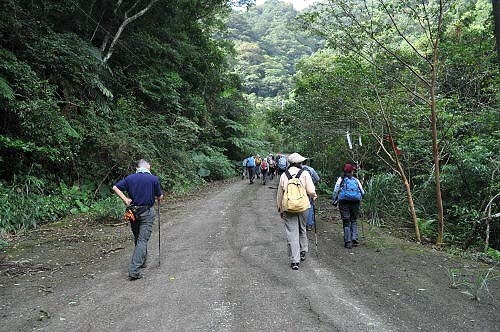 南勢坑古道前段(玉桂嶺~南勢坑2-5號)(圖片提供:tony) 南勢坑古道前段(玉桂嶺~南勢坑2-5號)(圖片提供:tony)