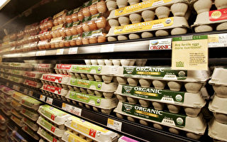 禽流感來襲 美國雞蛋批發價飆漲
