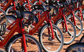 美首都骑自行车人数增长