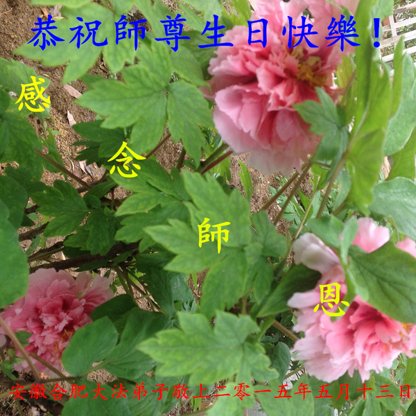 安徽合肥大法弟子恭祝師尊生日快樂!(明慧網)