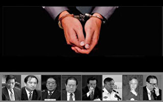 楊寧：三十名被海外起訴高官三人已被抓