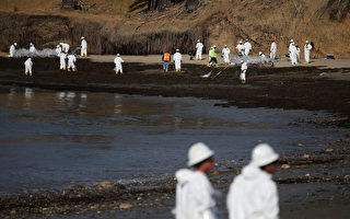 海灘油污影響旅遊 聯邦當局命令清理
