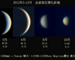 金星7日東大距 變亮變大又變瘦