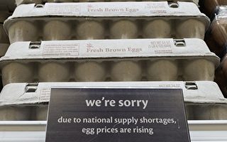 禽流感衝擊 美國雞蛋價格飛漲並將限量採購