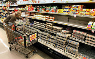 紐約蛋價創新高 行家吁買蛋看清生產日期