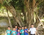 翻转小校困境  5年学生数增两倍