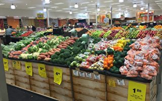 僅5%澳洲坎京居民每天吃了足夠的蔬菜