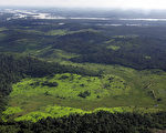 研究：神秘亚马逊雨林是人造 曾有5千万土着人